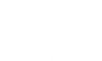TS Logo