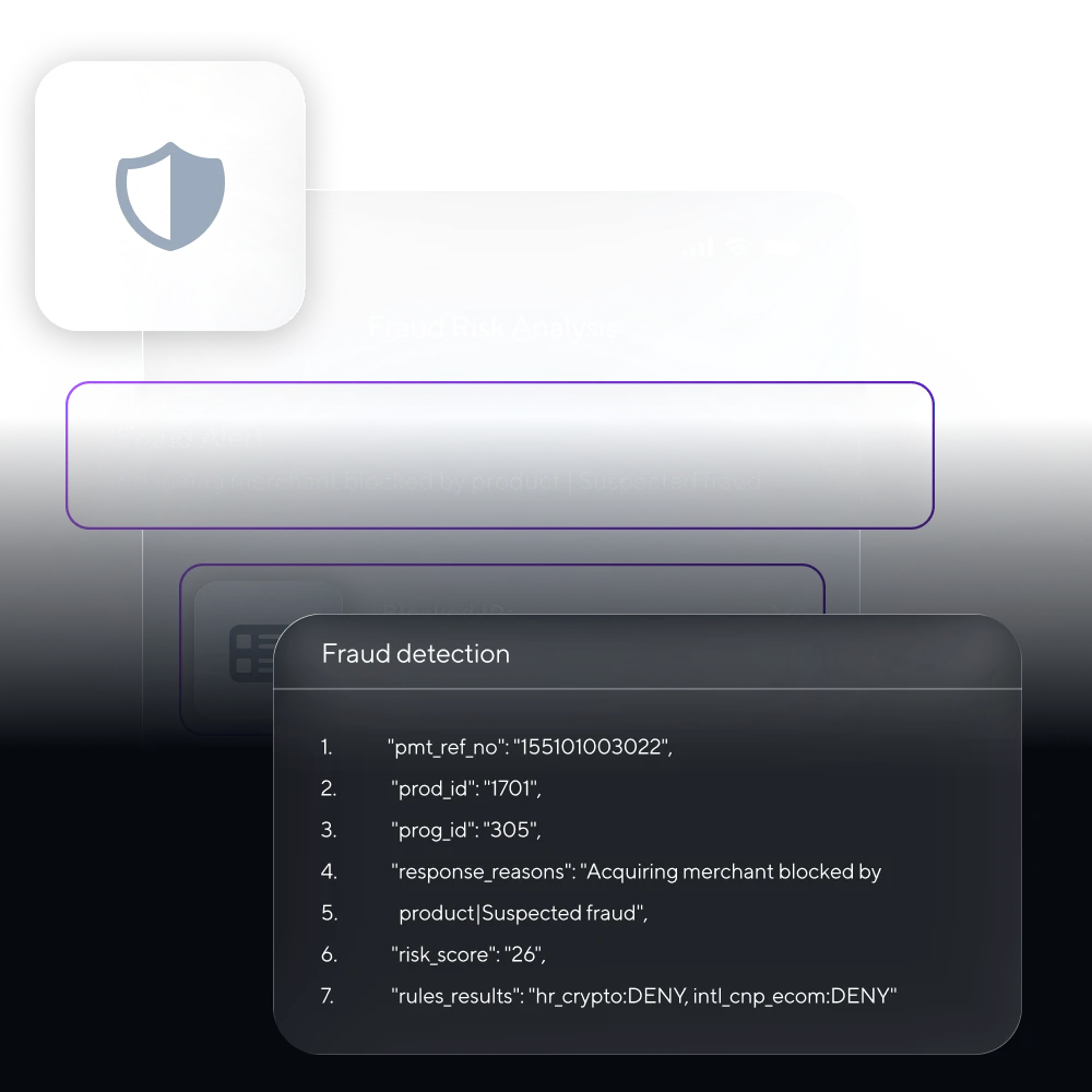 Fraud protection illustration